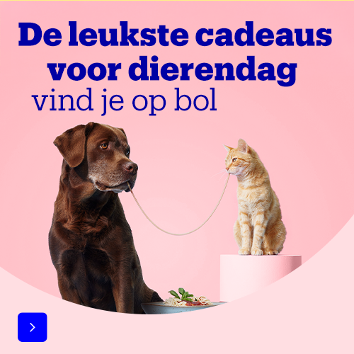 Dierendag 2025